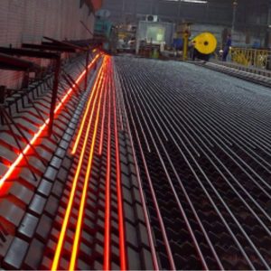 WhatsApp Image 2026-02-06 at 5.24.48 PM (1)